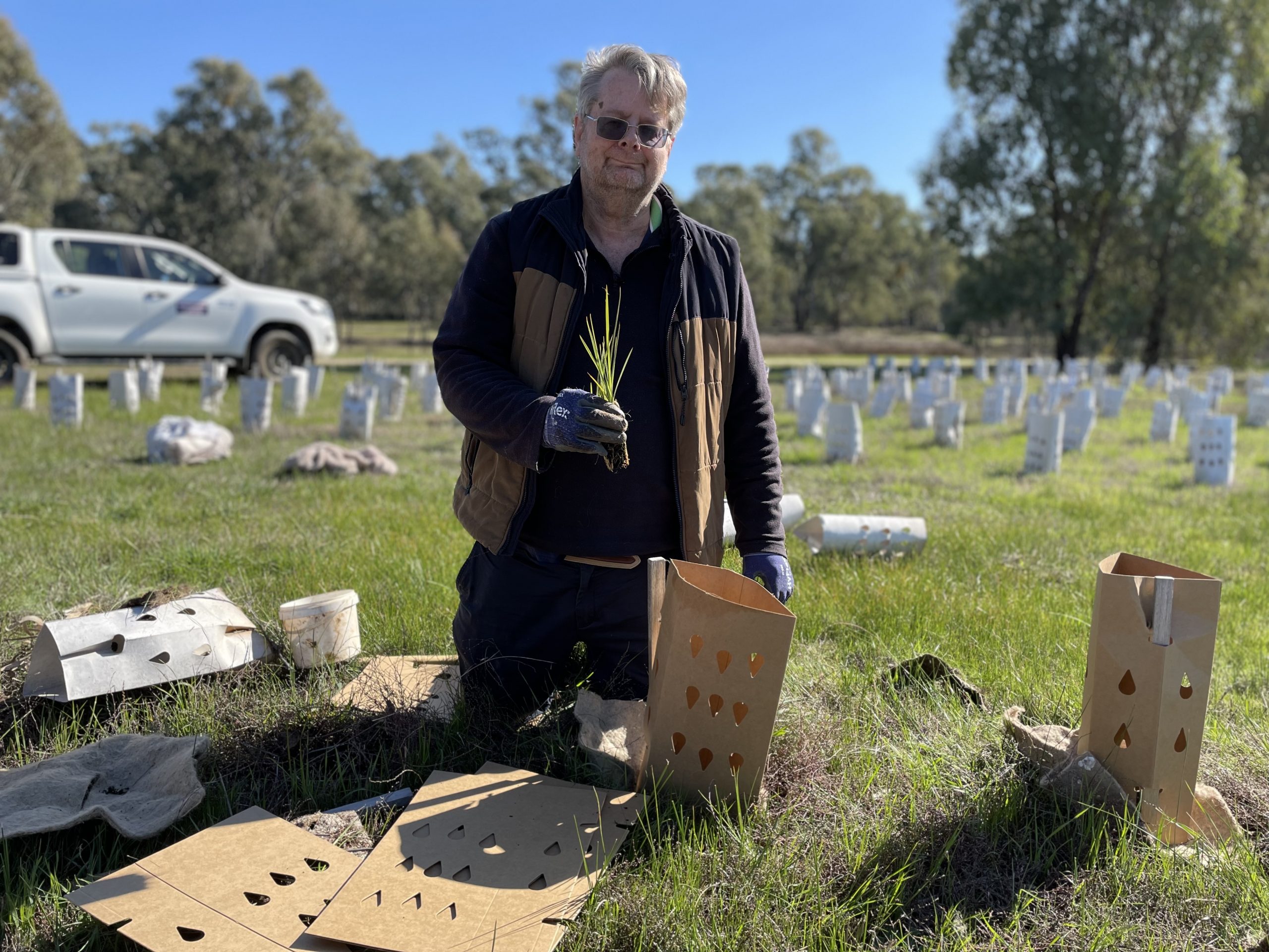Shepp tree planting6